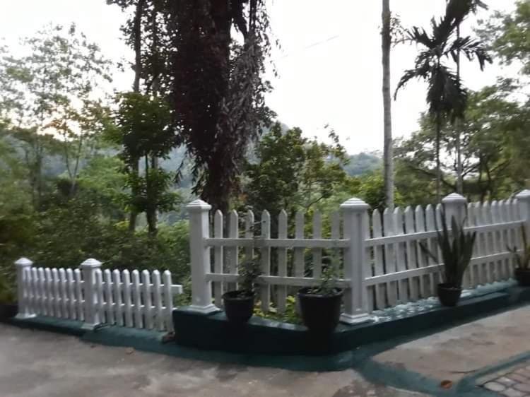 Villa25 Homestay Free Pick Up From The Centre Kandy Exterior photo
